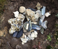 BONES: At the Chelmo death camp, seniors found human remains and gave them a proper burial.