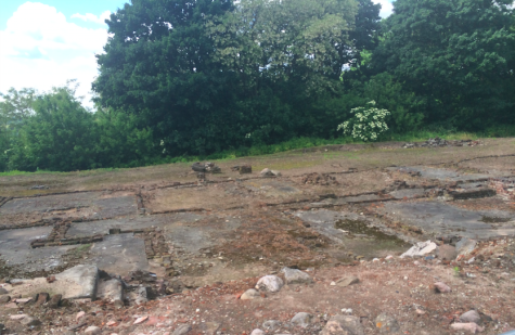 IRONY: Remains of the extermination camp at Chelmno. Seniors in Poland this week have wrestled with the lushness of trees and grass at concentration camp sites.